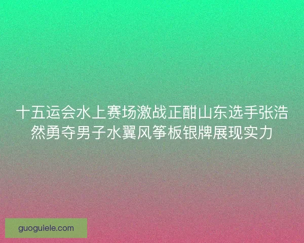 十五运会水上赛场激战正酣山东选手张浩然勇夺男子水翼风筝板银牌展现实力