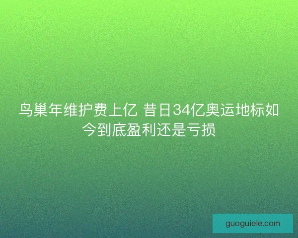 鸟巢年维护费上亿 昔日34亿奥运地标如今到底盈利还是亏损
